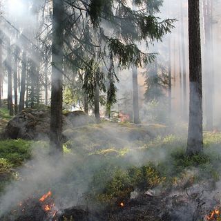Maltempo, sos vento forte per danni e incendi: bufere da inizio anno, metà in Lombardia