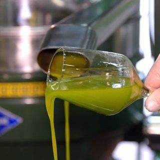 Slow Food ha presentato “La Guida agli Extravergini” 2022  per far conoscere oli, uomini e territori. BioDea un workshop seguitissimo