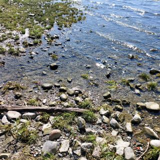 Arriva la pioggia ma il Lago Maggiore continua a soffrire