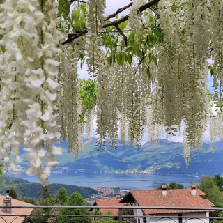 Agosto, 22 milioni di italiani in vacanza. Il Lago Maggiore tra le mete preferite