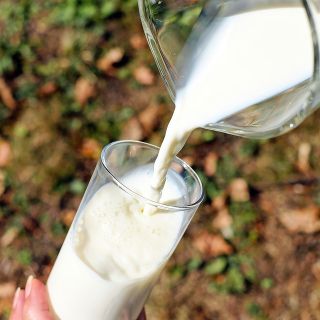 Prezzo del latte. Fiori (Coldiretti Varese): «Situazione insostenibile, ognuno deve fare la propria parte»