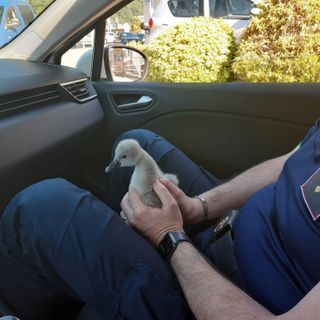 Foto da Facebook Foto da Facebook