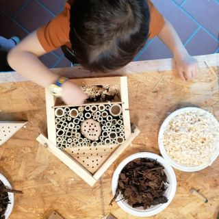 L'Agenzia Formativa della Provincia di Varese avvia il corso triennale dedicato alla lavorazione del legno
