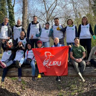 Alla Palude Brabbia i dipendenti del Banco Bpm si prendono cura dell'oasi naturalistica