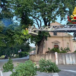 Albero crollato a Luino, sotto sequestro l'area davanti alla chiesa: le indagini dei carabinieri