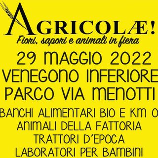 Fiori, sapori e animali in fiera a Venegono Inferiore