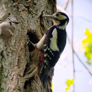 “Il valore della natura”: scienza, politica e società civile a confronto