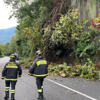 FOTO. Frana a Maccagno: due metri cubi di terra, rocce e piante sulla statale 394. Strada interrotta e traffico in tilt FOTO. Frana a Maccagno: due metri cubi di terra, rocce e piante sulla statale 394. Strada interrotta e traffico in tilt