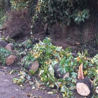 La foto della frana tratta da Luinonotizie.it La foto della frana tratta da Luinonotizie.it