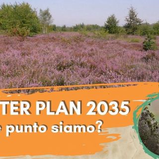 Il 7 marzo a Gallarate una serata per conoscere il Masterplan 2035 di Malpensa