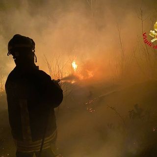 L'incendio nei boschi di Montegrino Valtravaglia
