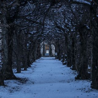 Natale nei beni del Fai di Varese e Provincia