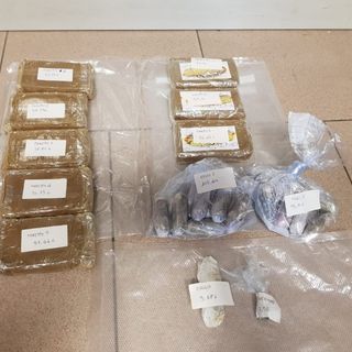 Nascondevano la droga nelle borse della spesa: arrestati un 18enne e un 25enne
