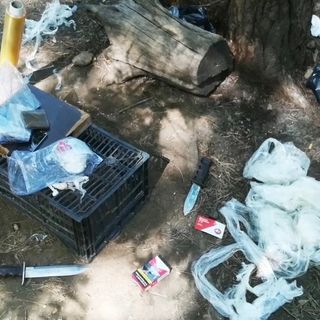 Trentamila euro per la sicurezza del Parco Pineta