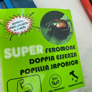 Renato Pozzi ci mostra la trappola per la micidiale Popillia Japonica