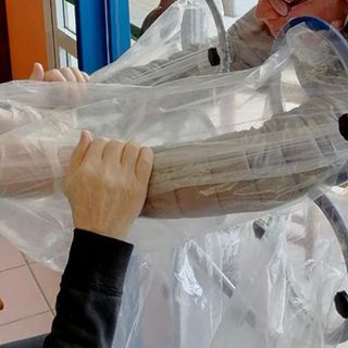 Gorla Minore, la rsa San Luigi Gonzaga riapre a nuovi ingressi e alle visite dei parenti
