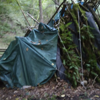 Smantellato un altro bivacco di spacciatori nei boschi della droga