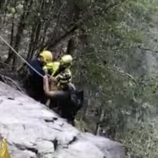 Valsesia, due cercatori di funghi del Varesotto dispersi nei boschi: salvati dopo ore di ricerche