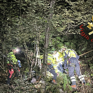 Cercatore di funghi trovato morto nei boschi del Comasco