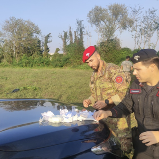 Blitz anti spaccio dei carabinieri nei boschi del Saronnese: sequestrato un chilo di droga