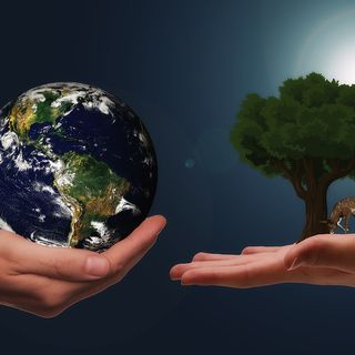 Dalla sostenibilità ambientale allo sviluppo digitale: le opportunità per le imprese