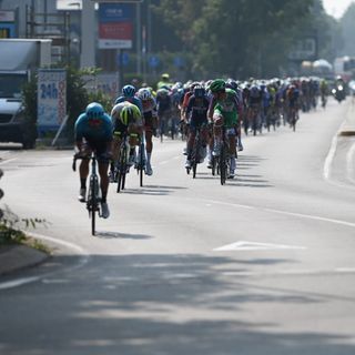 Fotogallery a cura di Alessandro Umberto Galbiati