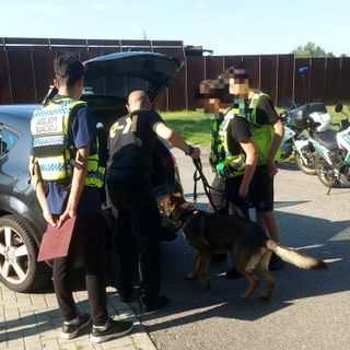 L'operazione antidroga dei &quot;baby vigili&quot; di Vergiate con il cane &quot;Ultimo&quot; (foto dalla pagina Facebook della polizia locale di Vergiate)