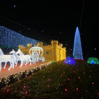 FOTO. Si alza il sipario sulle Lucine di Leggiuno: settecentomila led e una magia unica per un Natale spettacolare
