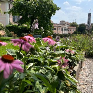 Primavera alle porte, sole in arrivo sul Varesotto: «Domani clima mite e temperature fino a 20 gradi»