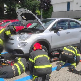 Sesto Calende, gattino incastrato nel motore dell'auto. Per liberarlo servono i vigili del fuoco