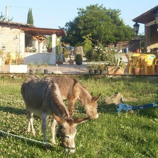 Pasqua, nel Varesotto agriturismi pronti all’accoglienza con pranzi e alloggi nel verde