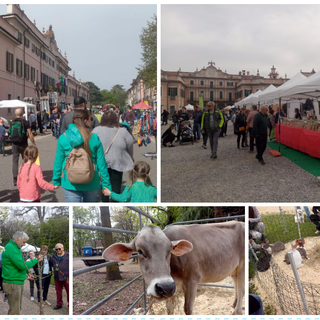 Torna &quot;Agrivarese in città&quot;: domenica 7 aprile l'agricoltura in mostra ai Giardini Estensi