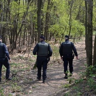 Blitz dei carabinieri a Mondonico, in manette un piccolo boss dello spaccio nei boschi della Valganna
