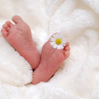 Record di nati ieri al Del Ponte: 18 bambini vedono la luce in 24 ore