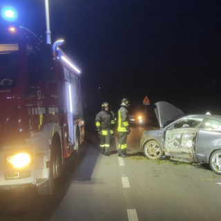 Il maltempo presenta il conto: nel Varesotto 230 interventi di soccorso. Centinaia di alberi caduti e 20 persone soccorse