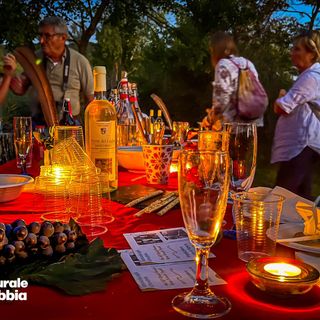 Alla Palude Brabbia serate d’estate tra aperitivi, tramonti e stelle