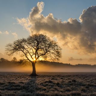 Quando arriva l'autunno? Da sabato con vento e crollo delle temperature minime