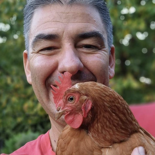 Barzetti con Antonelli Clerici. Nel riquadro: la foto pubblicata oggi su Instagram insieme alla gallina Delfina e il testo del post