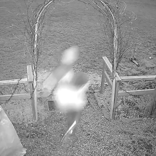 La fuga di uno dei due ladri ripresa dalla videosorveglianza