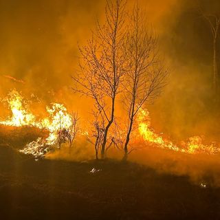 Incendio nella notte nei boschi del Verbano Cusio Ossola