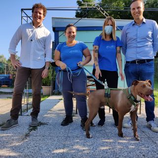 Bianchi in visita al canile di Varese: «Situazione non più procrastinabile»