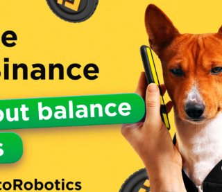 Binance subaccount: vantaggi ed istruzioni per l'uso sulla piattaforma Cryptorobotics