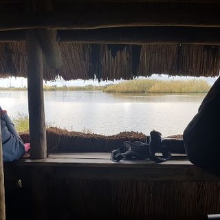 Birdwatching in Villa Cagnola