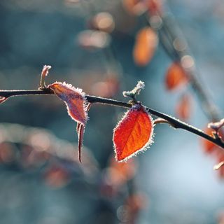 Aria artica e gelate. L'inverno bussa alle porte del Varesotto