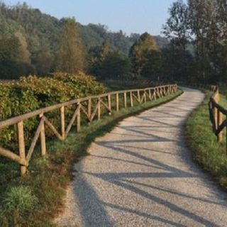 Mobilità sostenibile: approvato il progetto definitivo “Move On” per la ciclopedonale della Valle Olona