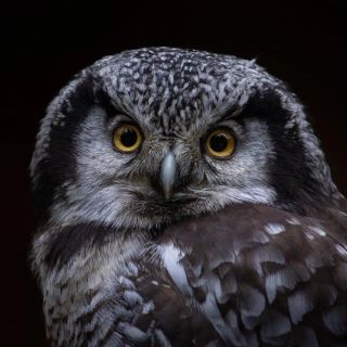 Foto d'archivio da IlSaronno.it Foto d'archivio da IlSaronno.it