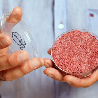 Carne coltivata, sempre più paesi dicono no: oltre agli stop in Europa, è flop negli Usa