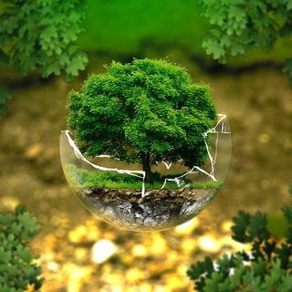 Design ed ecologia? Bello senza spreco
