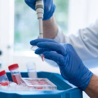 Coronavirus, i dati di sabato 30 gennaio: nel Varesotto 265 contagi. Varese +16, Busto +35, Gallarate +8, Saronno +11