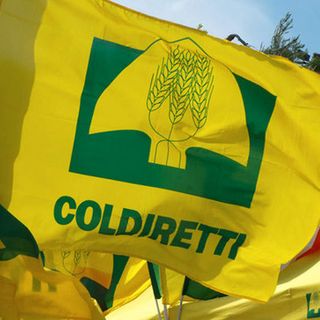Coldiretti, via alla sfida Oscar Green per i giovani agricoltori